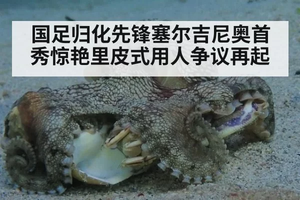 国足归化先锋塞尔吉尼奥首秀惊艳里皮式用人争议再起